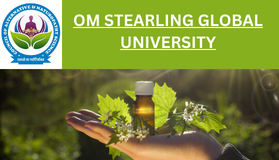 OM STEARLING GLOBAL UNIVERSITY