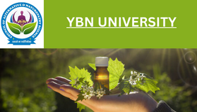 YBN UNIVERSITY